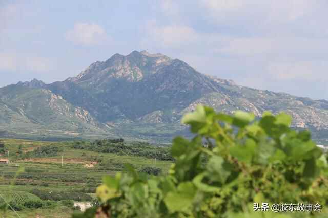 胶东话“r和y”不分，海阳于家改名儒家，荣成在族谱中误作永城