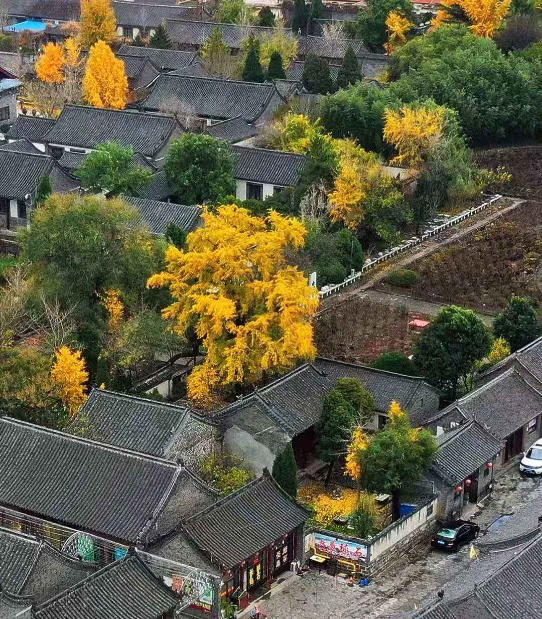 见一面吧，在蓬莱的秋天！