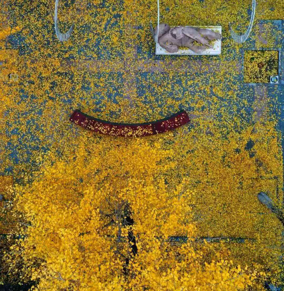 见一面吧，在蓬莱的秋天！