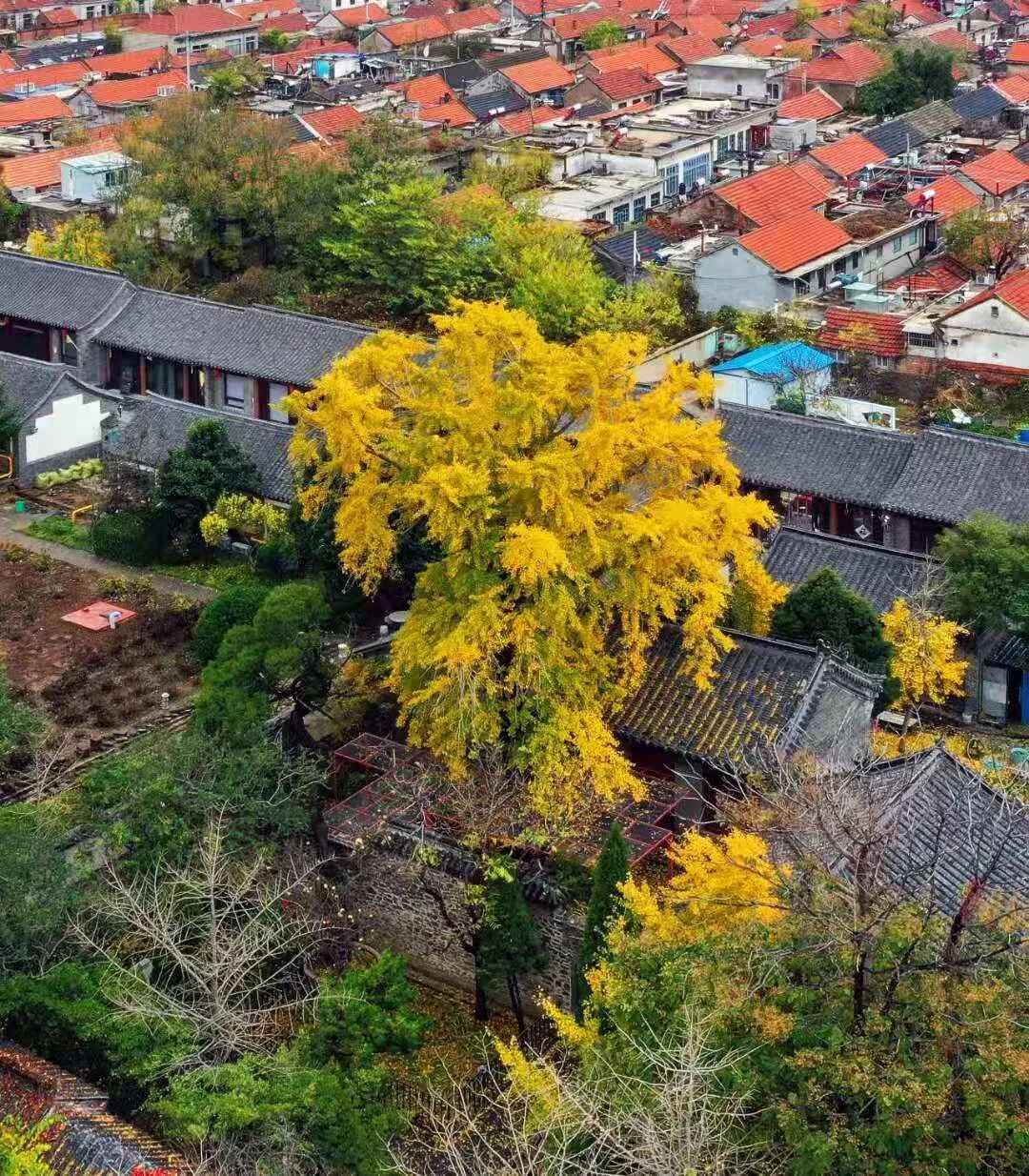 见一面吧，在蓬莱的秋天！