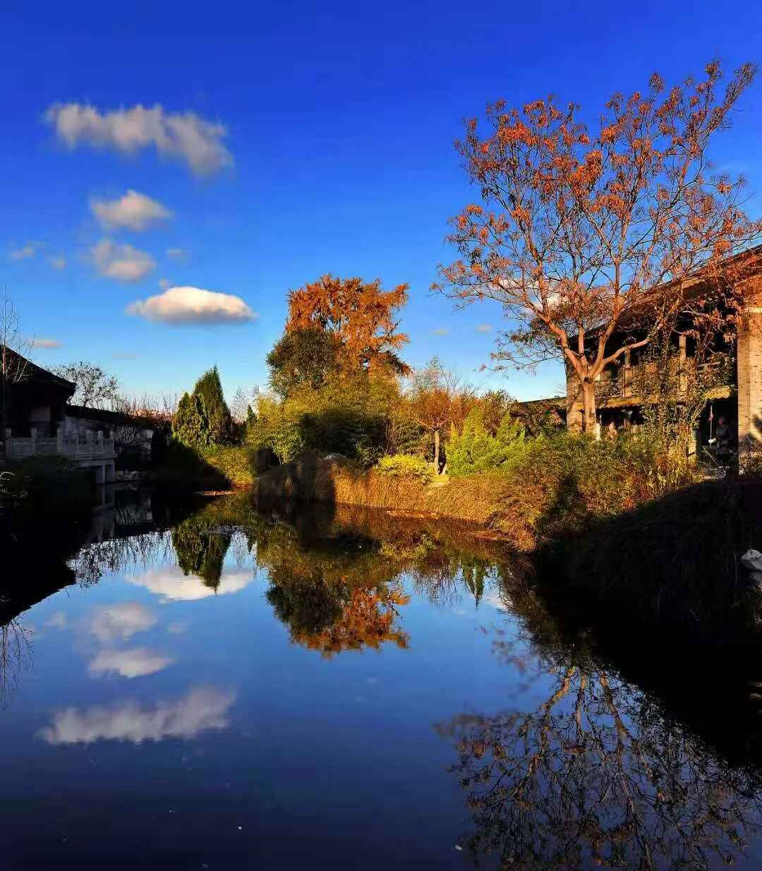 见一面吧，在蓬莱的秋天！