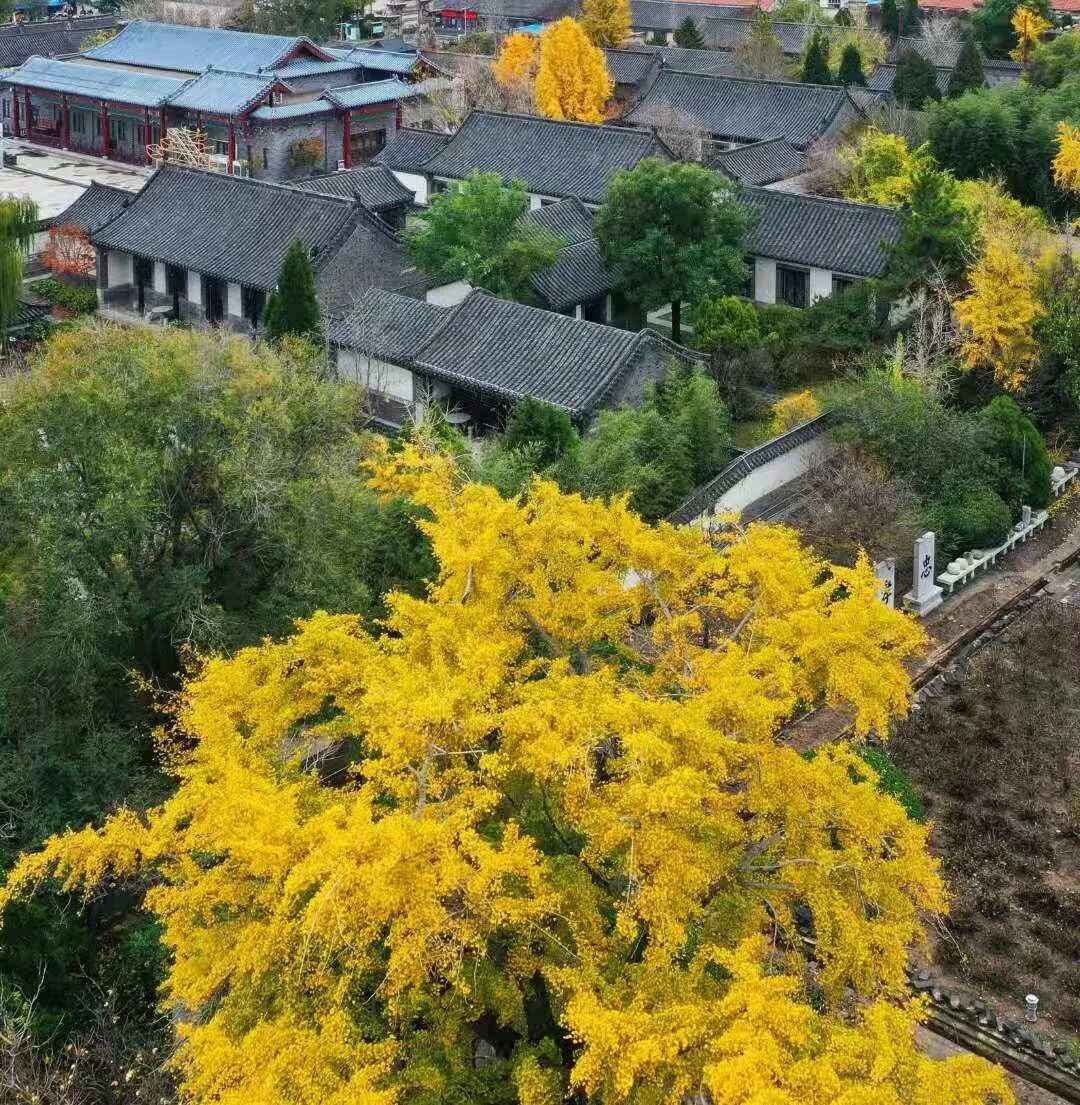 见一面吧，在蓬莱的秋天！