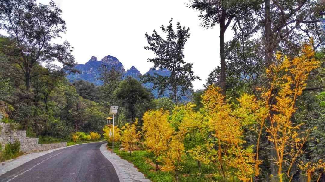 见一面吧，在蓬莱的秋天！