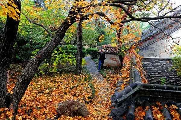 见一面吧，在蓬莱的秋天！