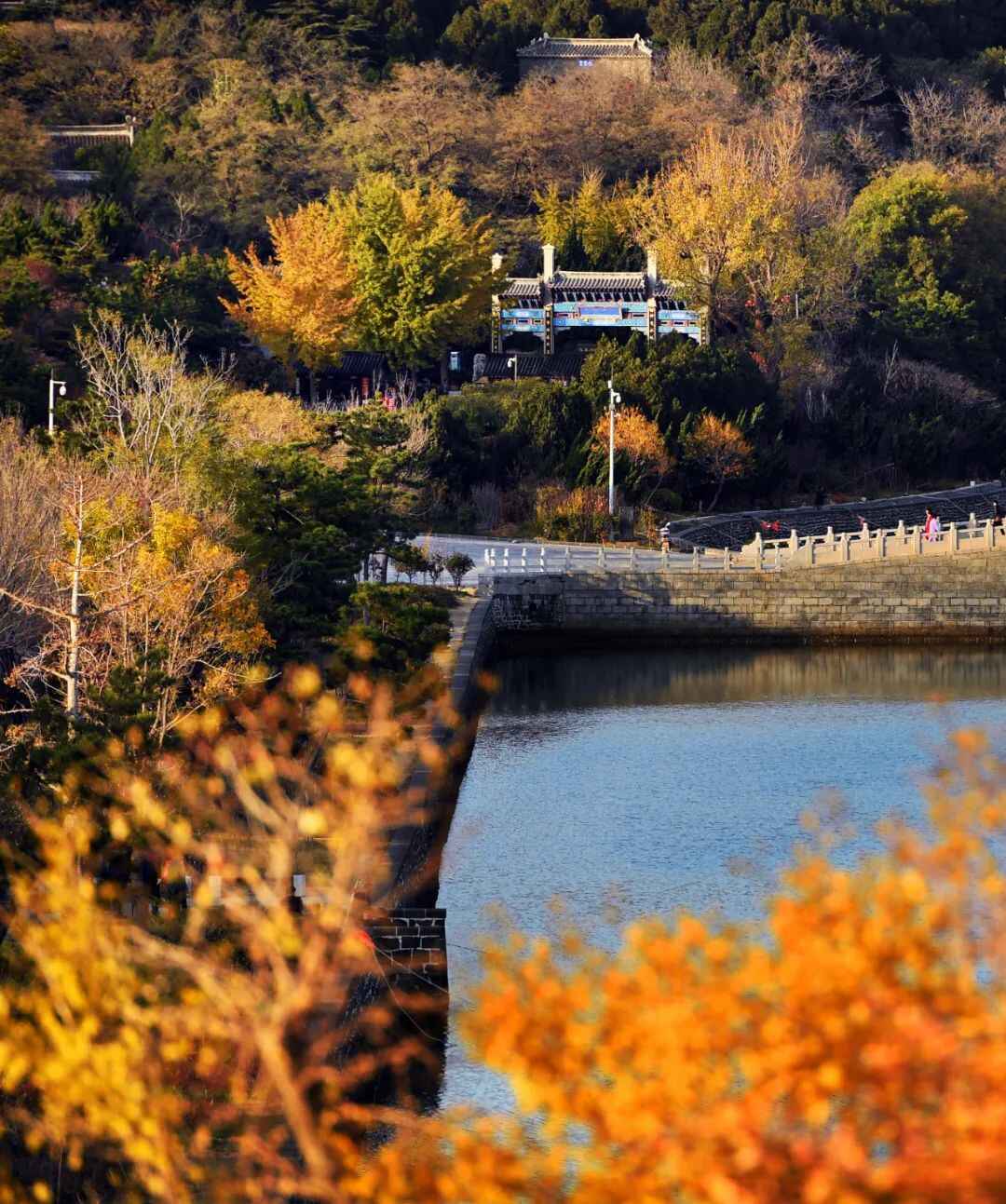 见一面吧，在蓬莱的秋天！
