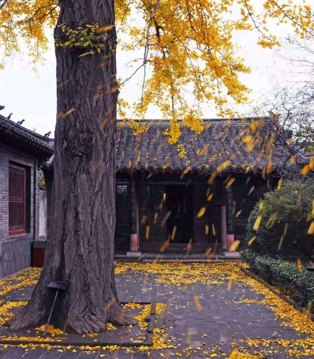 见一面吧，在蓬莱的秋天！