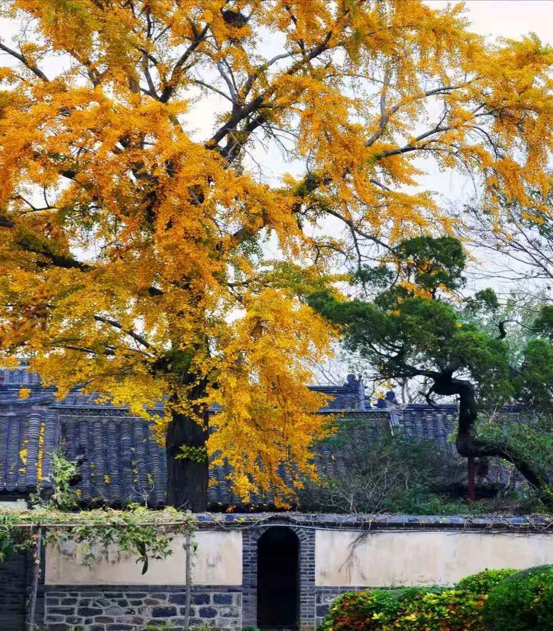 见一面吧，在蓬莱的秋天！