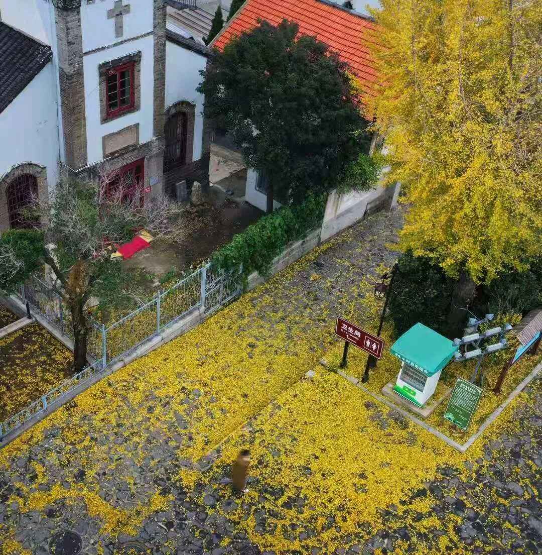 见一面吧，在蓬莱的秋天！