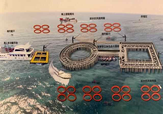 海阳：数帆鼓起驶入“智慧海洋”