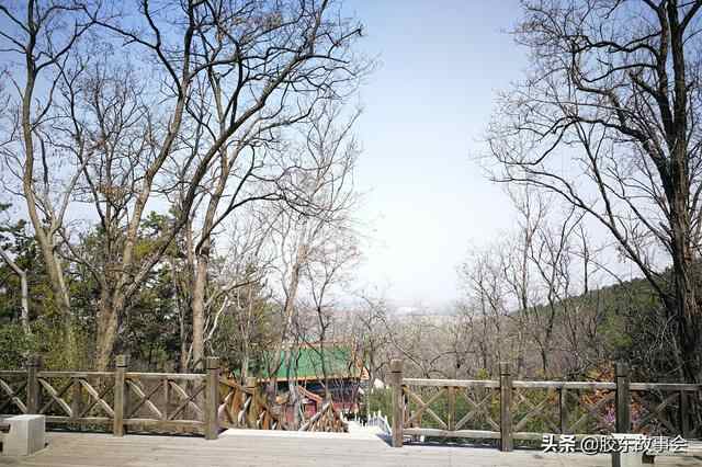 “东南隅钱氏”是莱州历史上的望族，其后人现仍住在掖城中