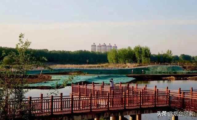 依托夹河，福山规划5大景观分区