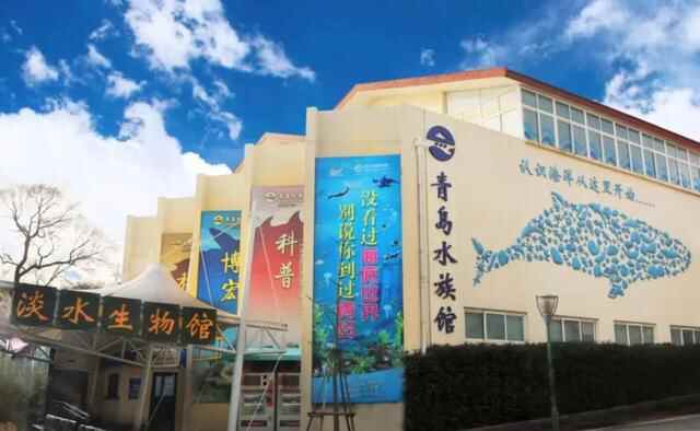 幽幽书香凝固回忆，福山支路6号“褐木庐”的故事等你来听~