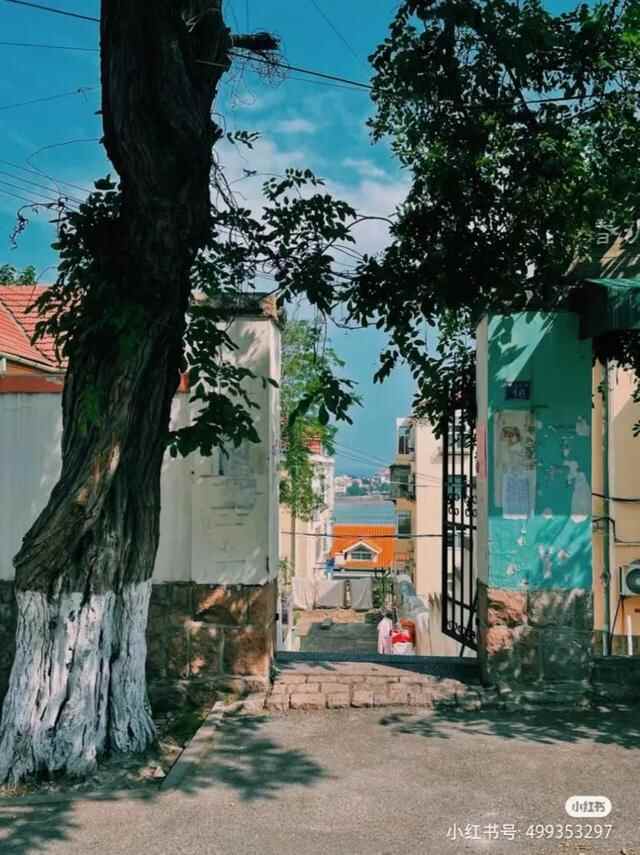 幽幽书香凝固回忆，福山支路6号“褐木庐”的故事等你来听~