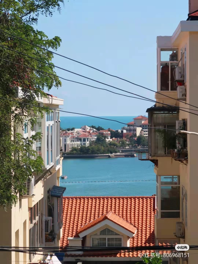 幽幽书香凝固回忆，福山支路6号“褐木庐”的故事等你来听~