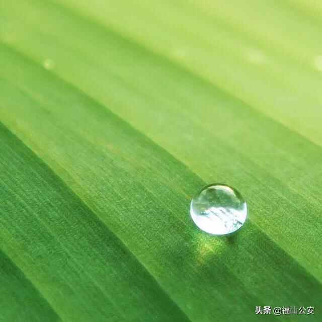 【两公布一提示】福山交警发布“端午节”期间道路交通安全提示