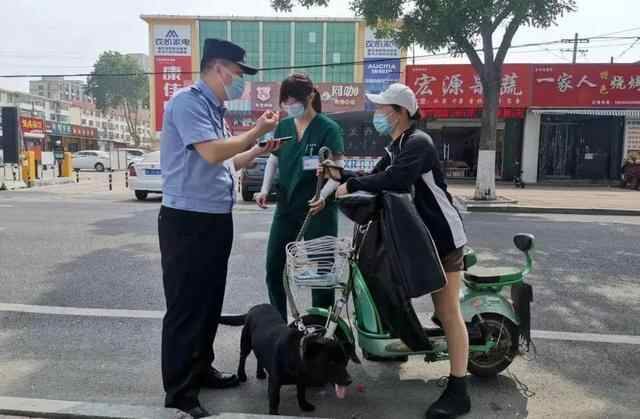 夜间巡查劝导！牟平不文明养犬治理动真格了……