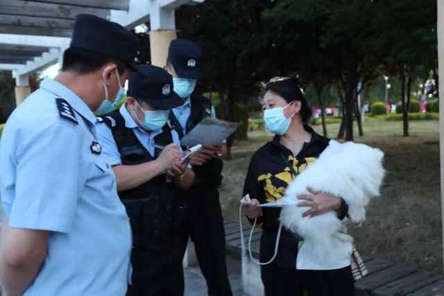 夜间巡查劝导！牟平不文明养犬治理动真格了……