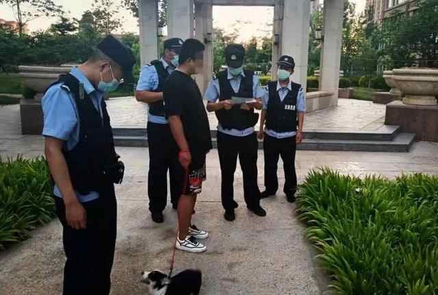 夜间巡查劝导！牟平不文明养犬治理动真格了……