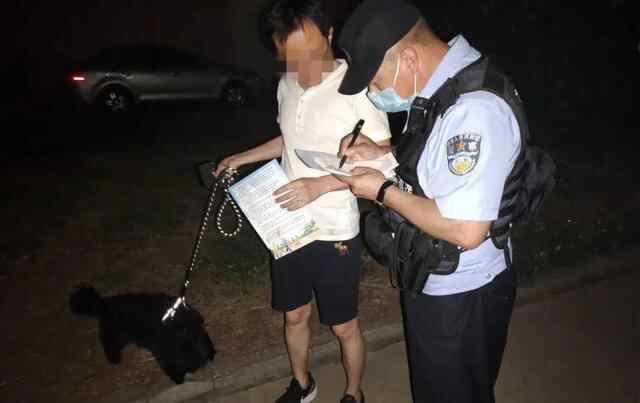 夜间巡查劝导！牟平不文明养犬治理动真格了……