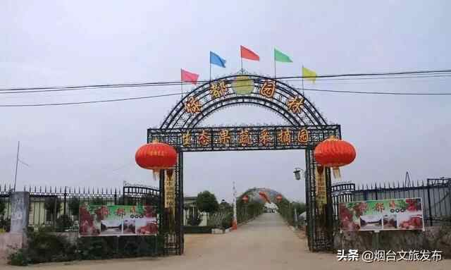 招远不远 就在眼前