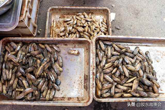 “莱阳缢蛏”是丁字湾名产，当地民间正式宴席常有这道菜