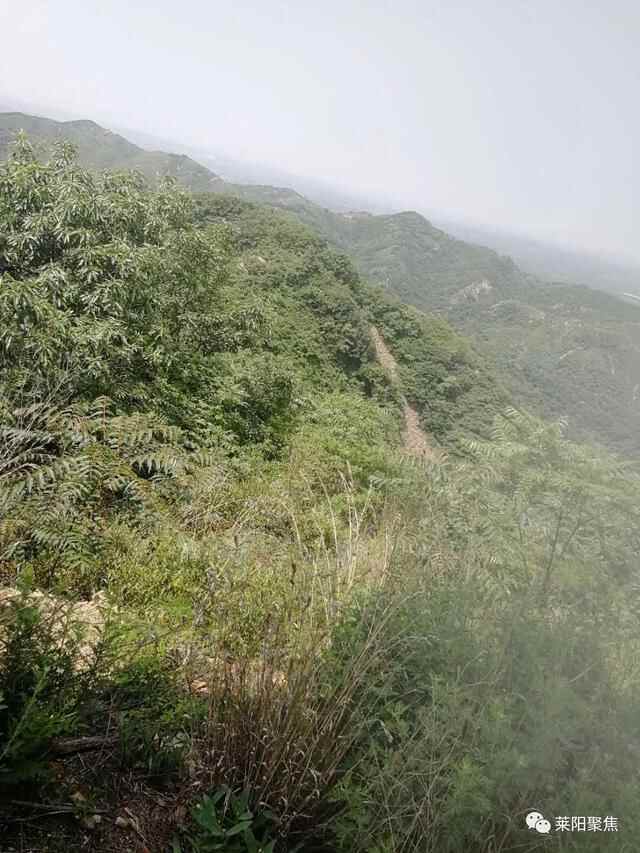 莱阳聚焦：莱阳娘娘山纪事