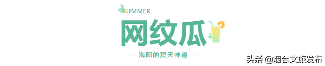 海阳的夏天，是什么味道？