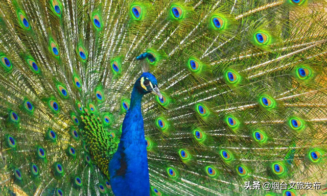 这个小长假，海阳招虎山承包你的所有美好！