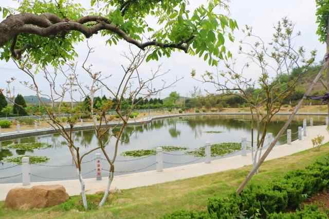 一村一景 | 山东莱阳市纪格庄村：合作社里说丰年