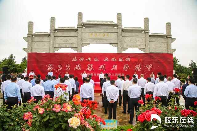 花开古邑！莱州第三十二届月季花节开幕
