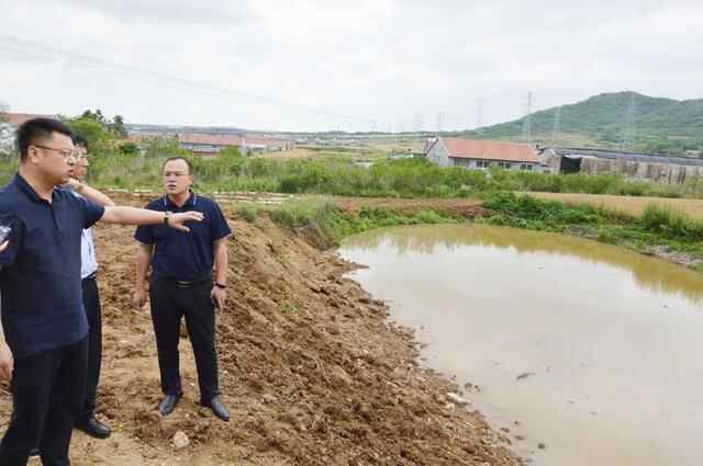 不把环境问题整改到位决不收兵——海阳市领导实地督导整改《问政烟台》曝光问题