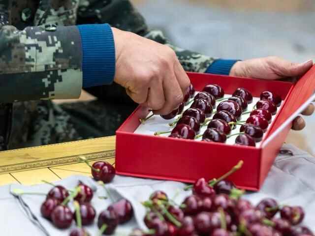 仙食蓬莱丨仙境名品——“艾崮仙品”，超有范儿的村里集镇高端果品上线，有颜又好吃~