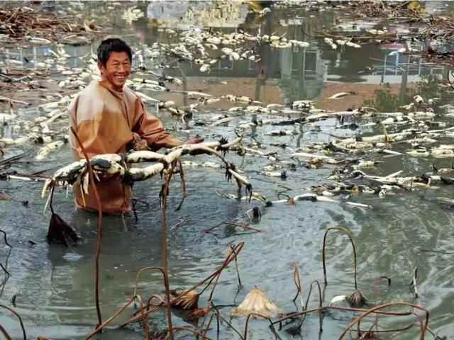 仙食蓬莱丨仙境名品——“艾崮仙品”，超有范儿的村里集镇高端果品上线，有颜又好吃~