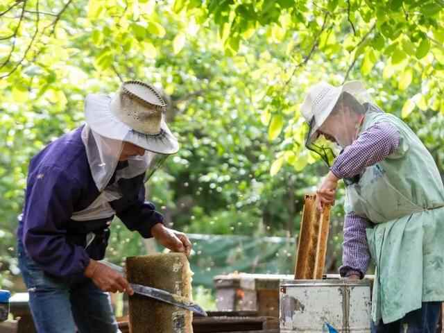 仙食蓬莱丨仙境名品——“艾崮仙品”，超有范儿的村里集镇高端果品上线，有颜又好吃~