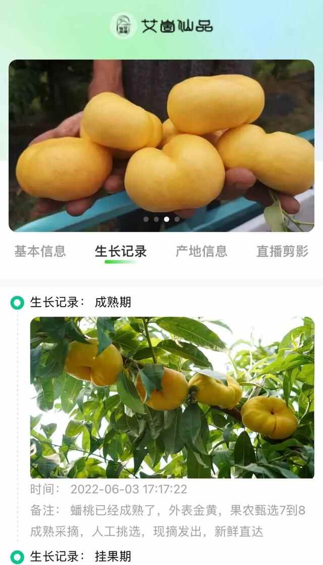 仙食蓬莱丨仙境名品——“艾崮仙品”，超有范儿的村里集镇高端果品上线，有颜又好吃~