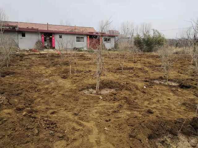 “拆改破立”促蝶变！栖霞市观里镇绘就美丽乡村新画卷