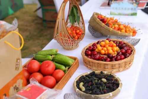 打响烟台福山地标品牌，2022烟台大樱桃线上销售正式启动