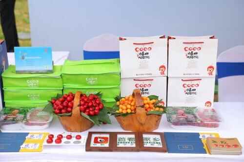 打响烟台福山地标品牌，2022烟台大樱桃线上销售正式启动