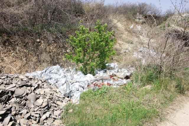 蓬莱区废弃反光膜“缠住”绿水青山