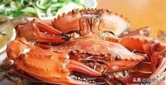 招远这么多美食你吃过几样？毛蛋羊汤粉浆饭，海鲜粉丝芝麻糖。