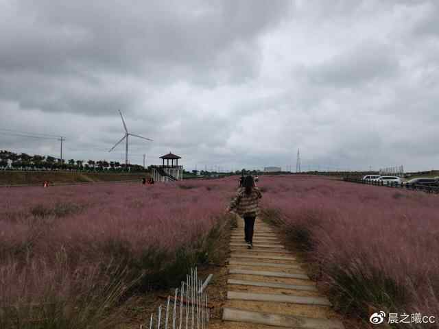 龙口旅游攻略篇三：国家级观光牧场与国家级古村落
