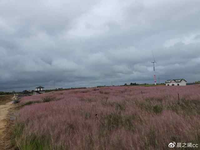 龙口旅游攻略篇三：国家级观光牧场与国家级古村落