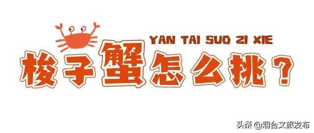 秋风起！走，我们去烟台吃梭子蟹！