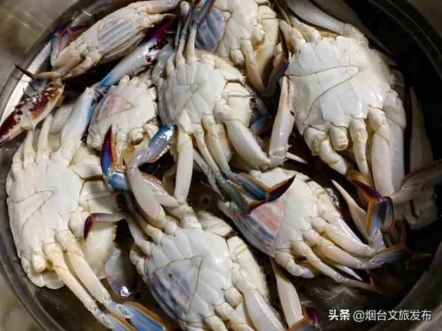 秋风起！走，我们去烟台吃梭子蟹！