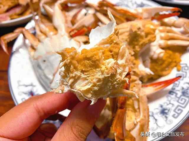 秋风起！走，我们去烟台吃梭子蟹！
