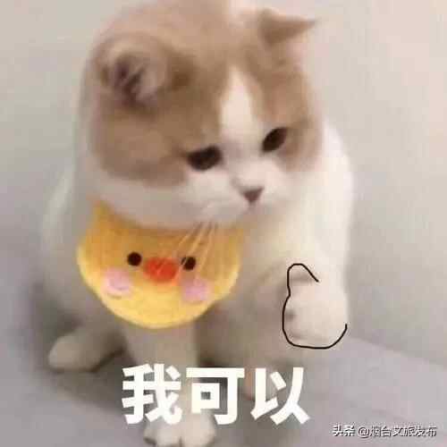 秋风起！走，我们去烟台吃梭子蟹！