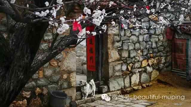 牟平史上最全旅游攻略，妥妥地收藏好，不用谢！