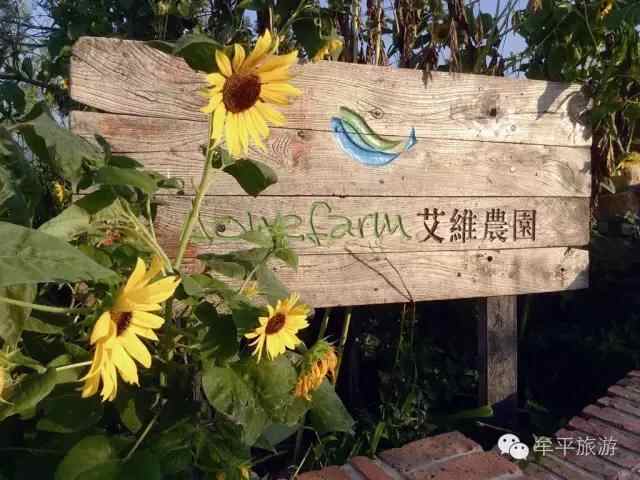 牟平史上最全旅游攻略，妥妥地收藏好，不用谢！