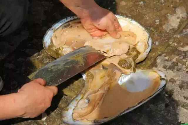 舌尖上的栖霞 | 这些春季时令美食已上线，错过只能等明年