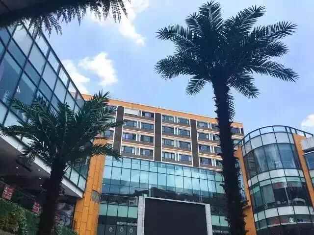 舌尖上的栖霞 | 这些春季时令美食已上线，错过只能等明年